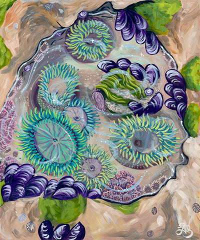 tide pool painting with anemones and mussels