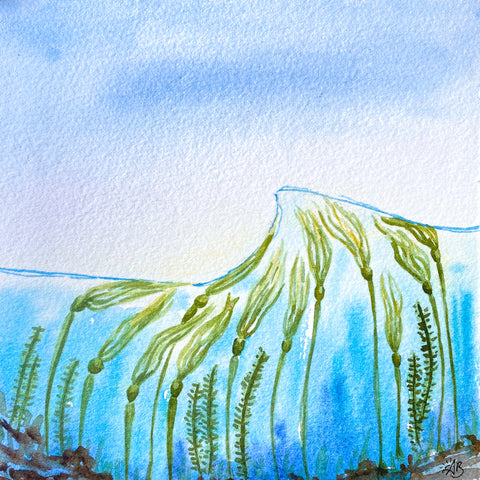 kelp wave cross section watercolor painting
