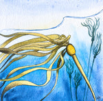 bull kelp underwater painting