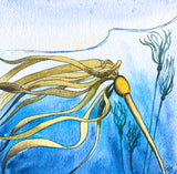 bull kelp underwater painting