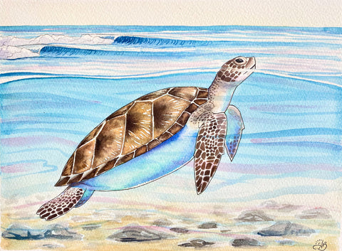 green sea turtle watercolor painting
