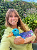 "Sunny" the Duck