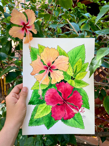 hibiscus flowers watercolor painting