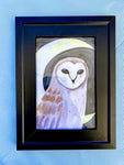 barn owl watercolor painting