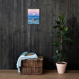 Pelican Drift Canvas Print