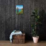 Big Sur Pine Canvas Print