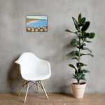 Davenport Daisies Canvas Print
