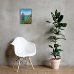 Big Sur Pine Canvas Print