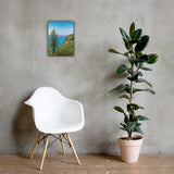 Big Sur Pine Canvas Print