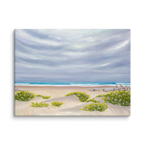Beach scene with sand, shrubs, and ocean under a cloudy sky