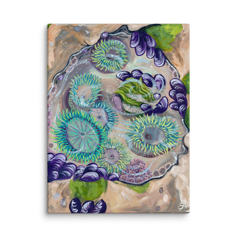tide pool art with anemones, mussels, and seaweed