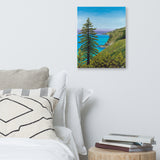 Big Sur Pine Canvas Print