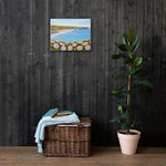 Davenport Daisies Canvas Print