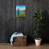 Big Sur Pine Canvas Print