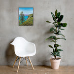 Big Sur Pine Canvas Print