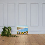 Davenport Daisies Canvas Print