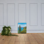Big Sur Pine Canvas Print