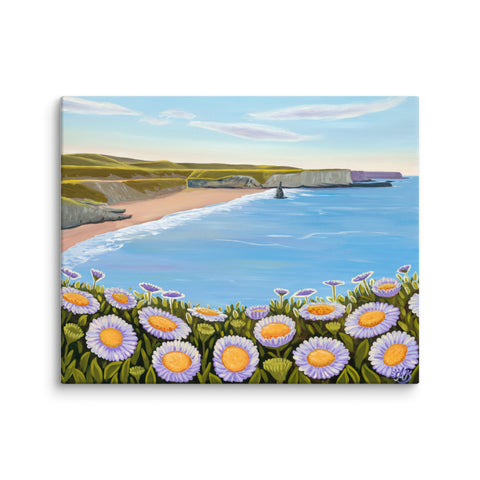 Davenport Daisies Canvas Print