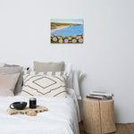 Davenport Daisies Canvas Print