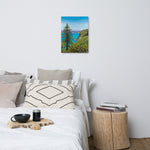 Big Sur Pine Canvas Print