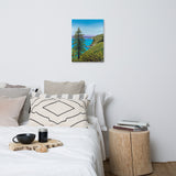 Big Sur Pine Canvas Print