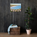 Davenport Daisies Canvas Print