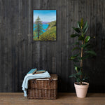 Big Sur Pine Canvas Print