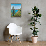 Big Sur Pine Canvas Print