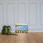 Davenport Daisies Canvas Print