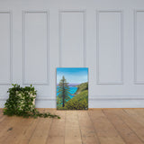 Big Sur Pine Canvas Print
