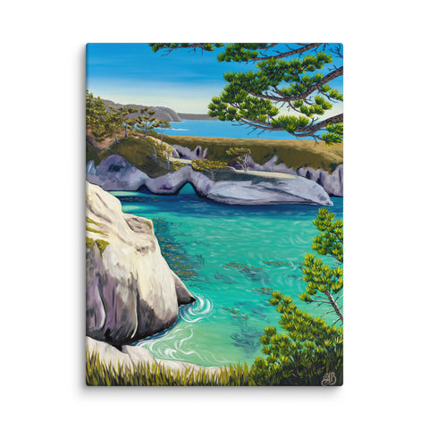 china cove point lobos california art