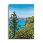 Big Sur Pine Canvas Print