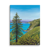 Big Sur Pine Canvas Print