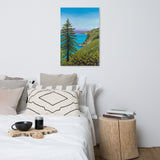 Big Sur Pine Canvas Print