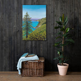 Big Sur Pine Canvas Print