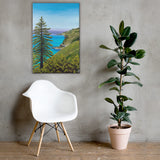 Big Sur Pine Canvas Print