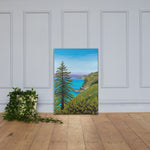 Big Sur Pine Canvas Print