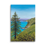 Big Sur Pine Canvas Print