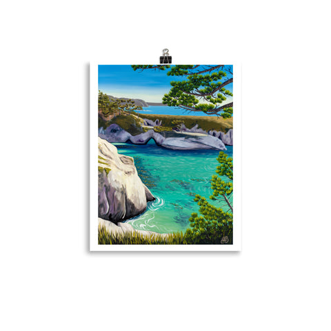 china cove point lobos art