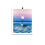 brown pelican art