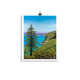 big sur pine tree art
