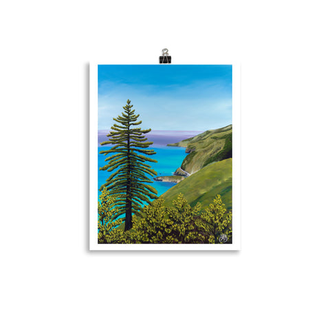 big sur pine tree art