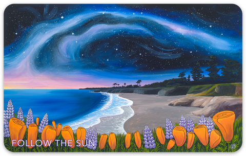 santa cruz dog beach its beach milky way poppies