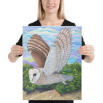 Barn Owl Canvas Print