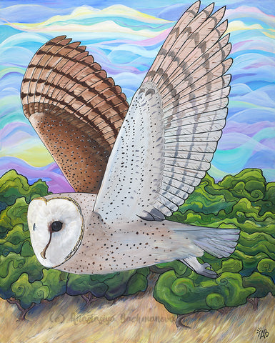barn owl painting, follow the sun art, anastasiya bachmanova