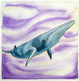 minke whale illustration follow the sun art