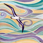 albatross original acrylic bird painting