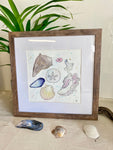 seashells original beach watercolor painting