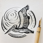 Brown Pelican Drawing - Inktober - Follow the sun art