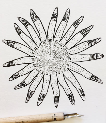 sun star, sunflower sea star, starfish drawing, inktober, follow the sun art